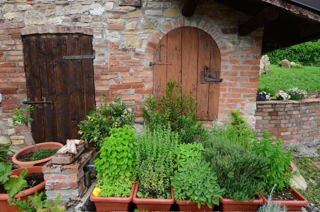 Agriturismo Agronauta Villa Piozzano Exterior photo