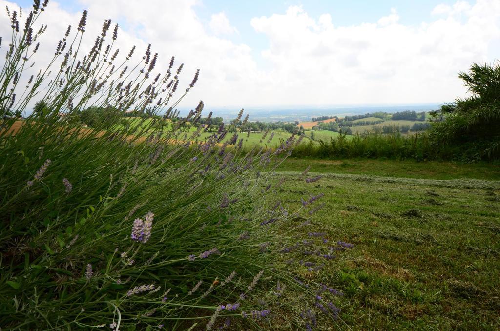 Agriturismo Agronauta Villa Piozzano Exterior photo